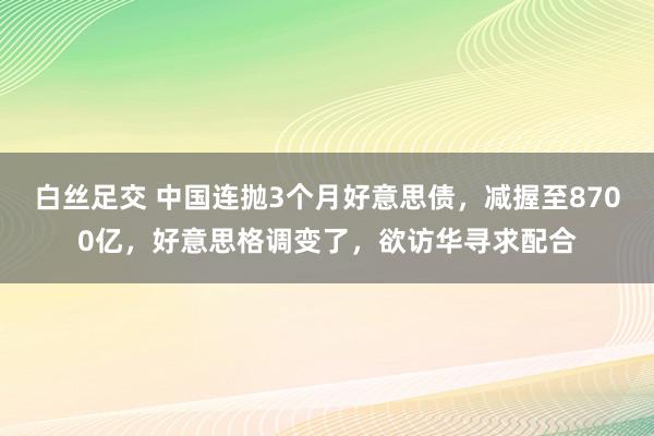 白丝足交 中国连抛3个月好意思债,减握至8700亿,好意思格调变了,欲访华寻求配合