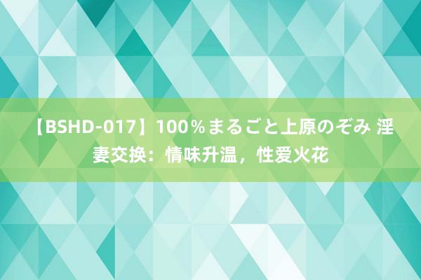 【BSHD-017】100%まるごと上原のぞみ 淫妻交换:情味升温,性爱火花