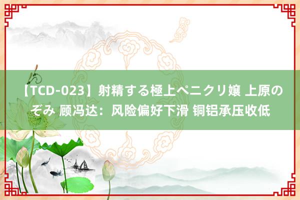 【TCD-023】射精する極上ペニクリ嬢 上原のぞみ 顾冯达:风险偏好下滑 铜铝承压收低