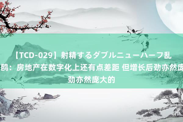 【TCD-029】射精するダブルニューハーフ乱交 杨鸥:房地产在数字化上还有点差距 但增长后劲亦然庞大的