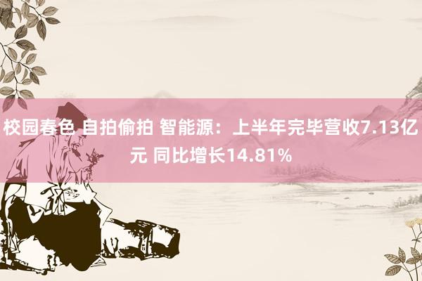 校园春色 自拍偷拍 智能源:上半年完毕营收7.13亿元 同比增长14.81%