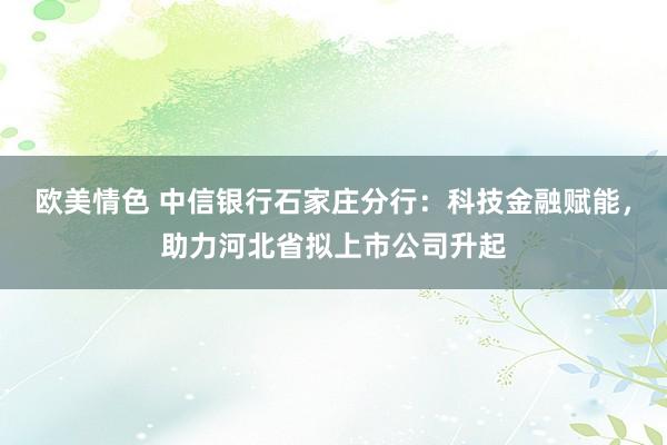 欧美情色 中信银行石家庄分行:科技金融赋能,助力河北省拟上市公司升起