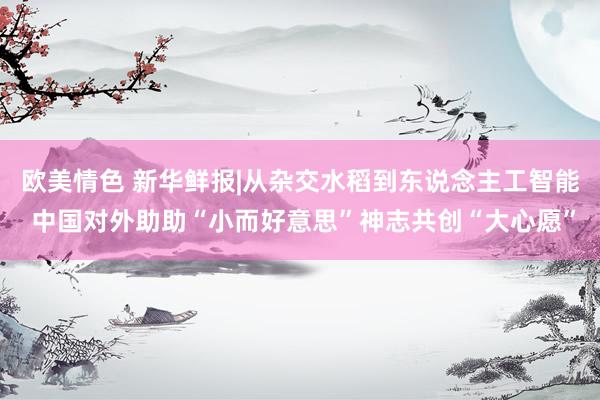 欧美情色 新华鲜报|从杂交水稻到东说念主工智能 中国对外助助“小而好意思”神志共创“大心愿”
