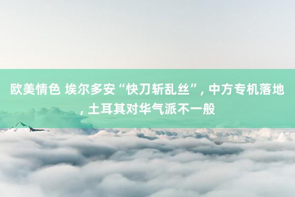 欧美情色 埃尔多安“快刀斩乱丝”, 中方专机落地, 土耳其对华气派不一般