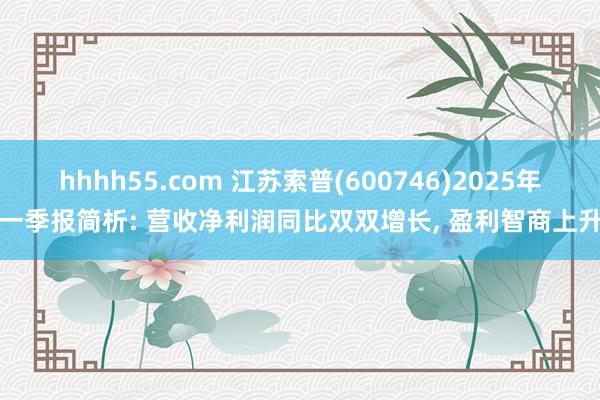 hhhh55.com 江苏索普(600746)2025年一季报简析: 营收净利润同比双双增长, 盈利智商上升