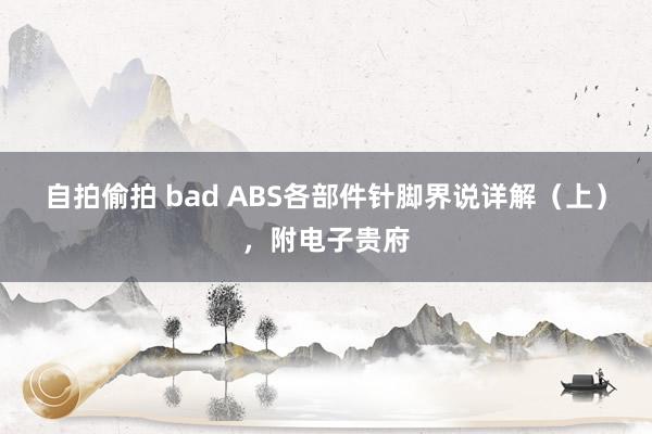 自拍偷拍 bad ABS各部件针脚界说详解(上),附电子贵府