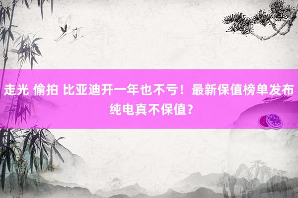 走光 偷拍 比亚迪开一年也不亏！最新保值榜单发布 纯电真不保值？